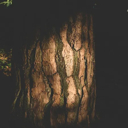 Knusse Retreat Midden Op De Veluwe 아파트