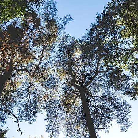 아파트 Knusse Retreat Midden Op De Veluwe *