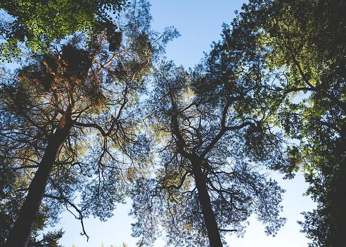 Apartman Knusse Retreat Midden Op De Veluwe *