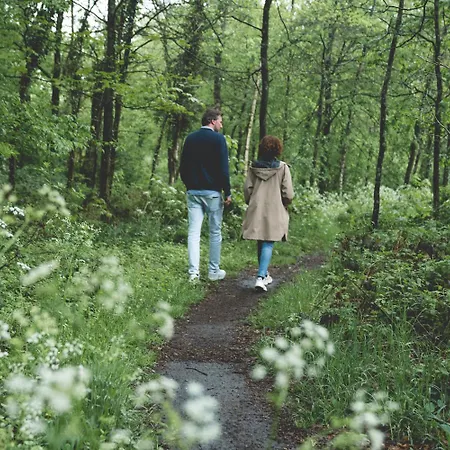 Knusse Retreat Midden Op De Veluwe شقة *