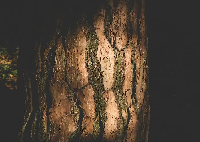 Knusse Retreat Midden Op De Veluwe 公寓