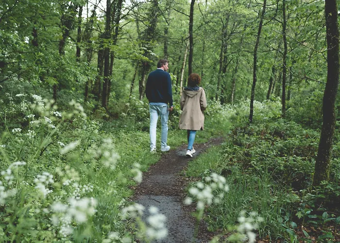 Knusse Retreat Midden Op De Veluwe 公寓 *